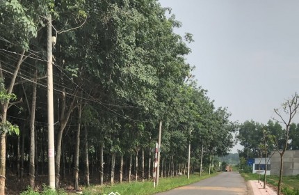 Bán mặt tiền nhựa liên ấp, gần ngã tư Gia Vĩnh, An Viễn, Đồng Nai
